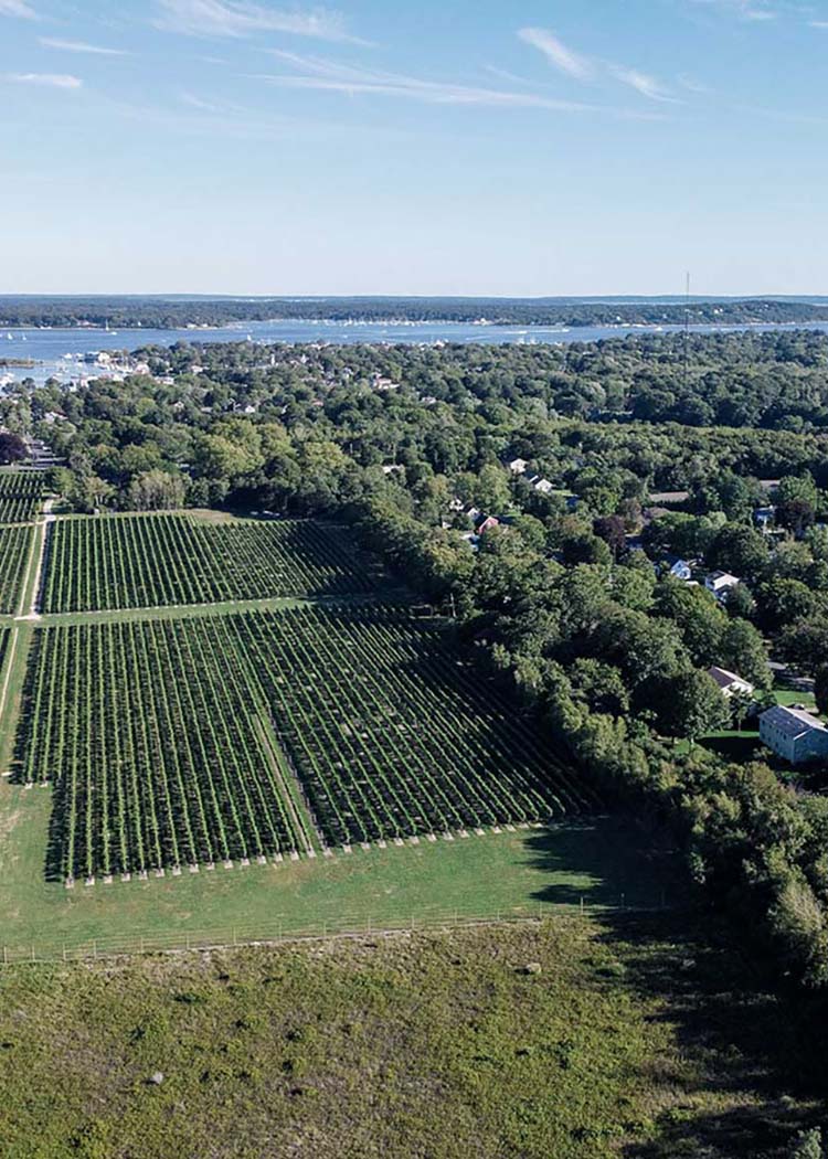 Day Trip to: Greenport, NY